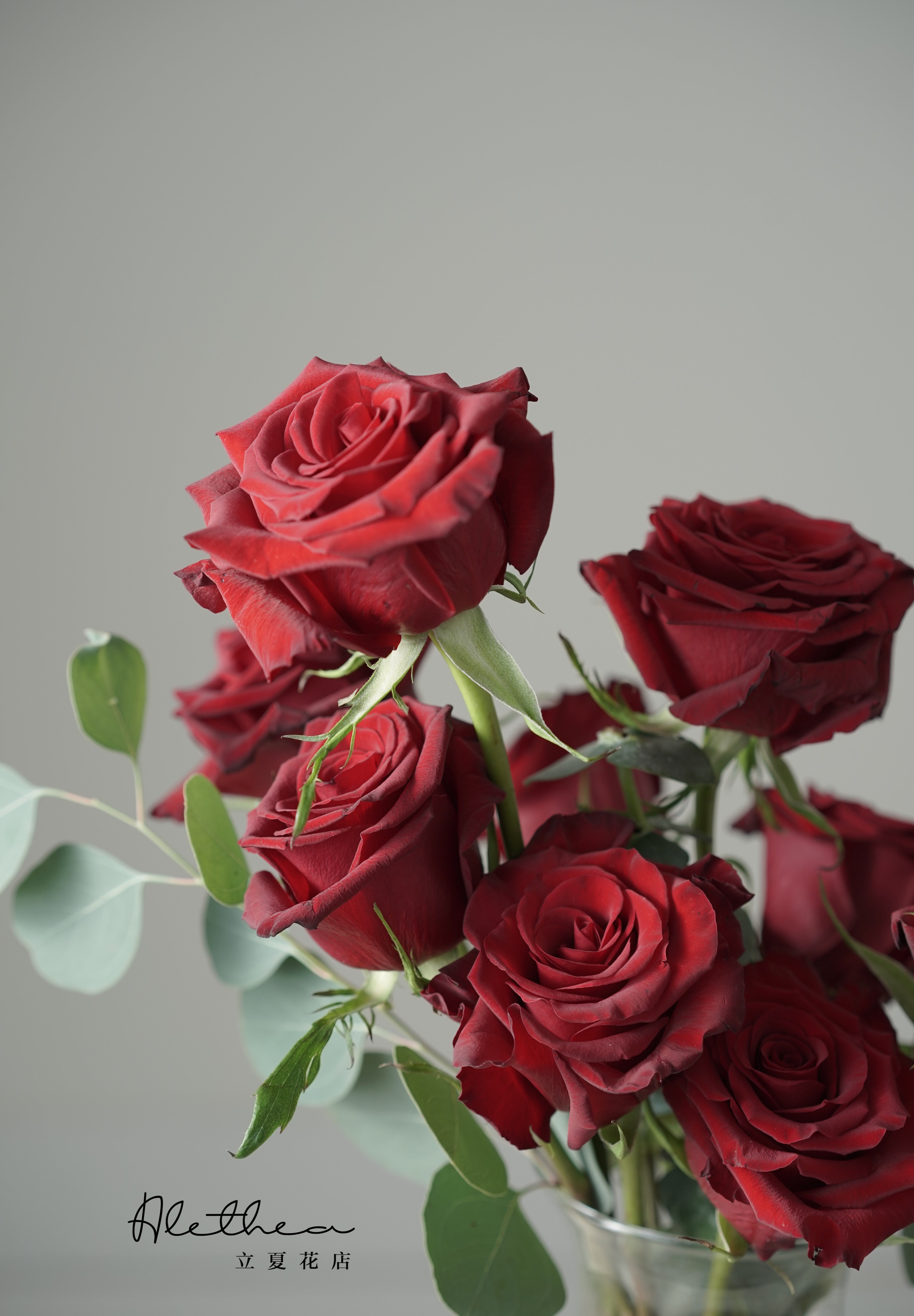 Alethea Rose Vase - Red - Valentines'Day