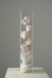 Clear Long Flower Gift Box - Pink Rose