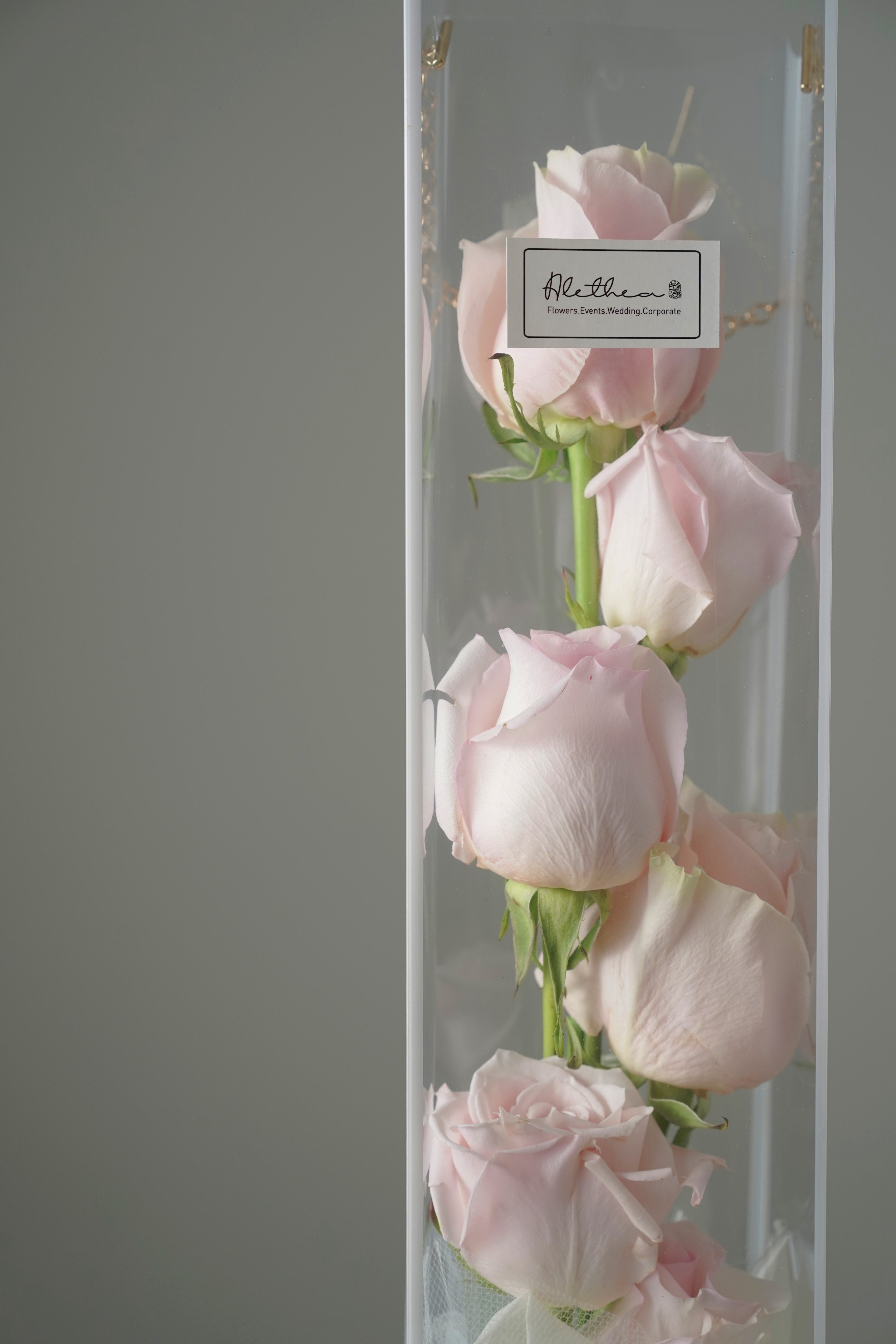 Clear Long Flower Gift Box - Pink Rose