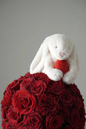 Hug My Red Love Heart Bunny