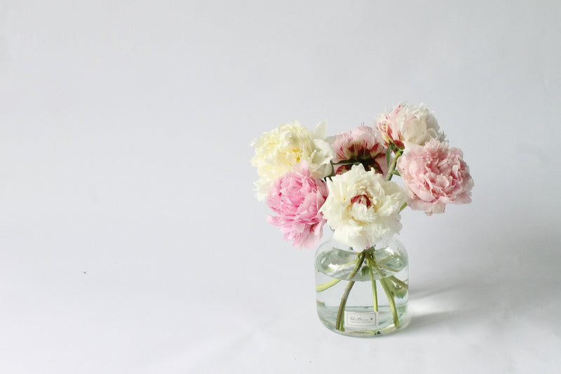 Peony Marshmallow Vase - Mother's Day 2023