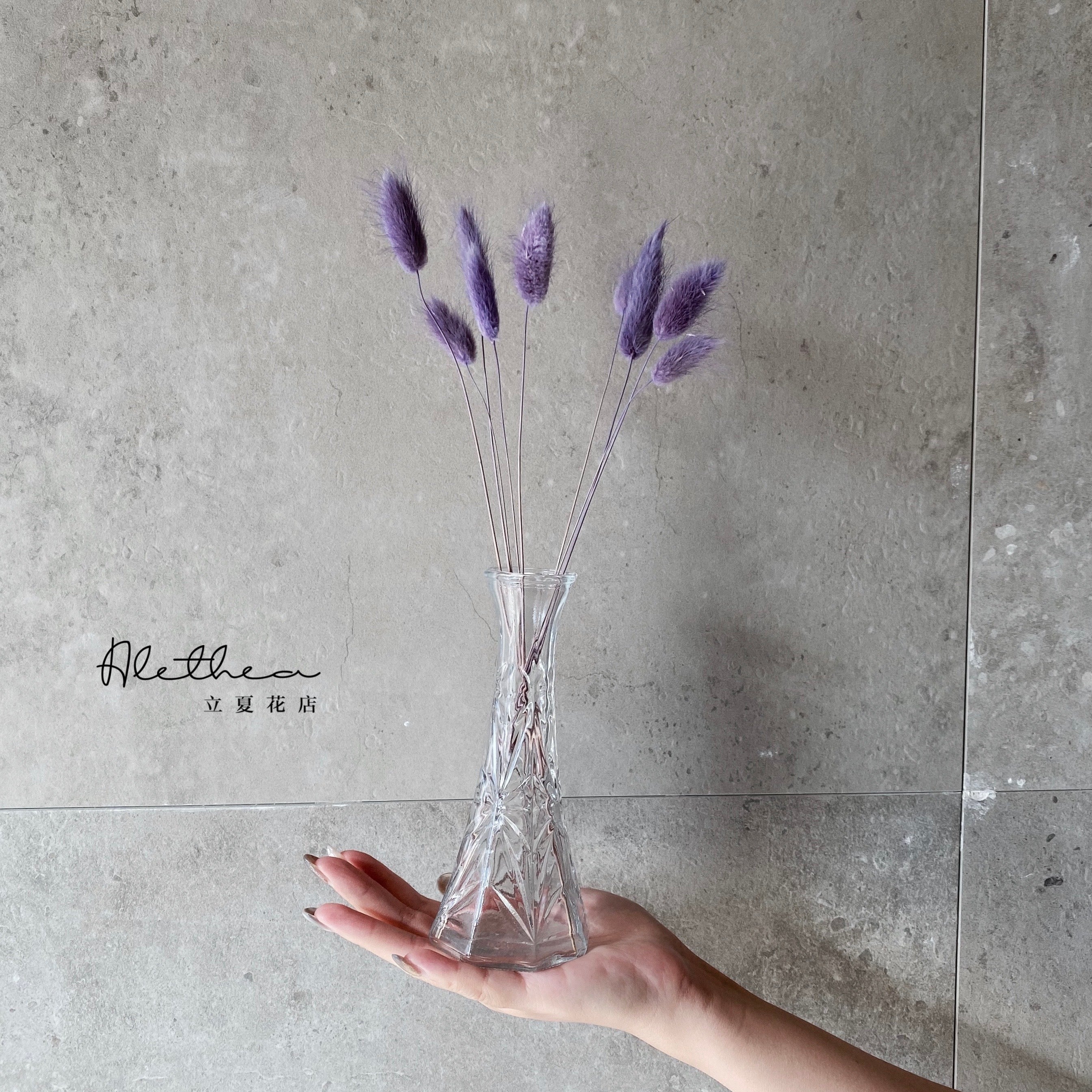 Purple Bunny Tail Grass Jar - Dried Flower