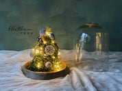 Glass House Christmas Tree