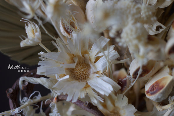 White Bush - Preserved Flower